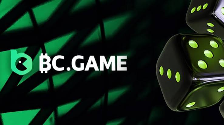 The Ultimate Guide to BC.Game Pakistan App Revolutionizing Online Gaming